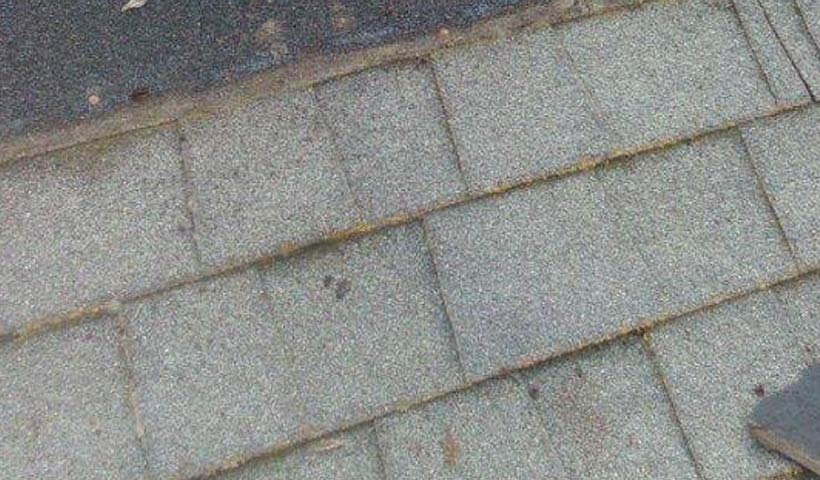 Granule Loss What It Means for Your Asphalt Shingle Roof