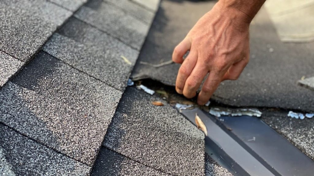 Roof Inspection 101 What Homeowners Need to Know