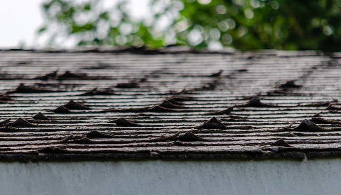 Shingles Are Curling Is It Time You Need a New Roof