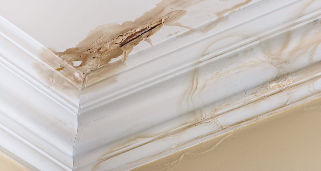 Water Damage and Leaks Signs You Need a New Roof ASAP